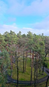 ЄОселя +! 2-кімнатна в центрі Ірпеня біля парку Правика. Вид на сосни