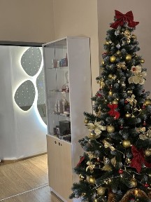 Оренда столу бровіста / кушетки