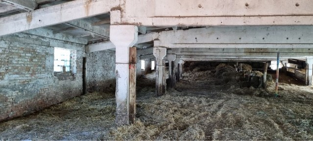 Ферма 1500 м² + 60 соток землі під оренду