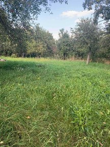 Продам будинок, с. Лісові Сороченці Прилуцький район