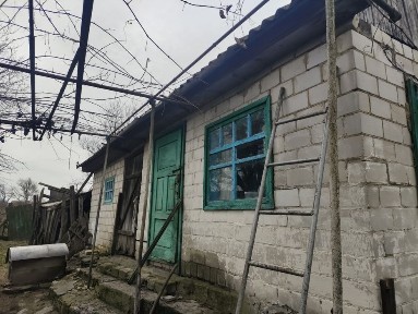 Хата, літня кухня, сараї, город