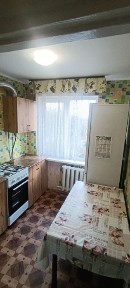 Житомирська область, Житомир, Польова