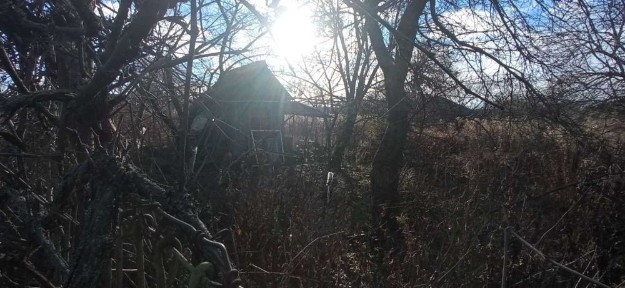 Черкаська область, Черкаси