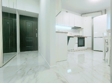 Київська область, Софіївська Борщагівка