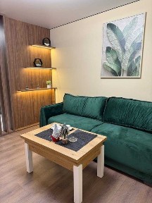 Пров. Тарнавського, сучасний ремонт. Кухня-студія + спальня.