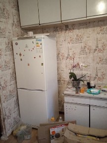 Здам 1 чешку Київська у довгострокову оренду для родини.