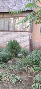 Продаю компактную 3-х комнатную квартиру в чистом районе города