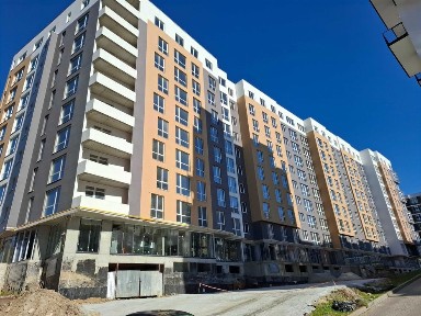 Львівська область, Львів, Шевченківський