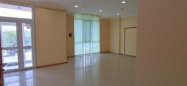 Харківська область, Харків, Шевченківський