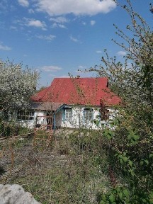 Київська область, Чернин