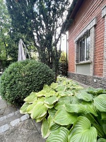 Продам дом район пр. Гагарина.