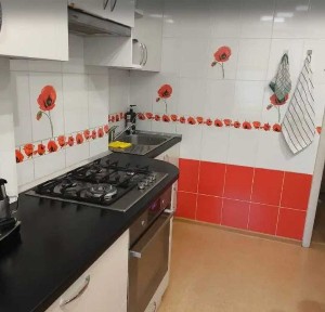 2 кім РЕМОНТ середній поверх багатоповерхівка район БЕРЕЗИНКА (718894)