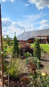 Дніпропетровська область, Кривий Ріг, Центрально-Міський