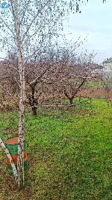 Дом с подвалом+ участок 20 соток