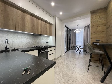 Київська область, Софіївська Борщагівка