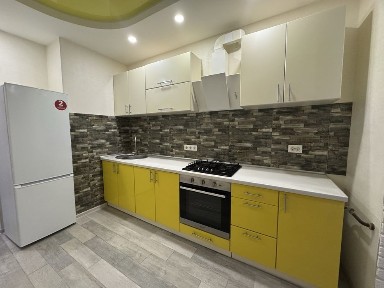 Київська область, Софіївська Борщагівка