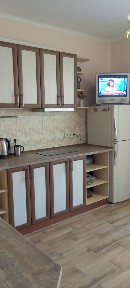 Аренда 1-комнатной квартиры 55 м², Ревуцкого ул., 54А