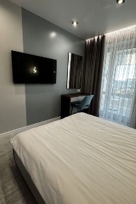 Modern Grey Harmony подобова орерда квартири