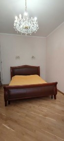 Оренда 1-кім. вул. Єфремова (початок)