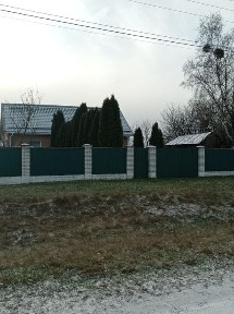 Будинок під лісом біля р Десна. Село Оболоння Н-Сівер. р-н (Коропський)