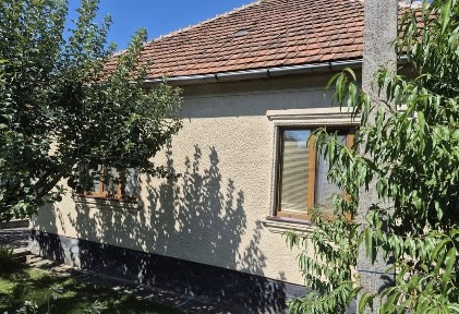 Термінова продаж будинку до Нового року. Росвигово.