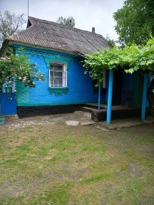 Продаж 1 поверхового будинку і ділянкою на 1 га