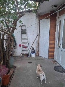 Продам 1-к на Михайловской