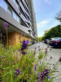 Одеська область, Одеса, Приморський