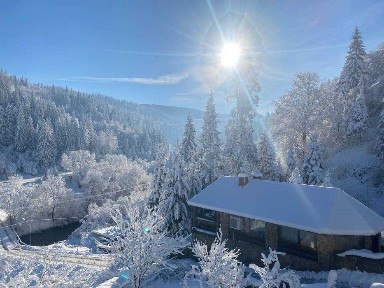 Лісова казка у пані Стефанії Котедж, відпочинок в Карпатах, Славське