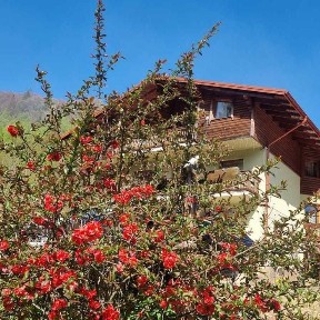 Лісова казка у пані Стефанії, Відпочинок в Карпатах, Славське