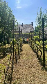 Продаж старословацького дому та престижної локаціі в Мукачево