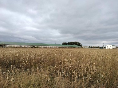 Київська область, Саливонки