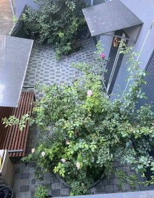 комерційне приміщення+квартира