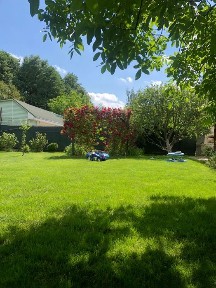 Будинок від Господаря Лісники