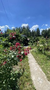 Київська область, Нещерів