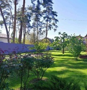 Затишний будинок серед сосен у Лісовому Ірпені, 13 соток, газ, тераса