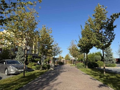 Киевская обл., Киево-Святошинский район, с. Софиевская Борщаговка, Відпочинку, 3