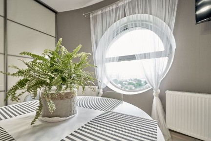 Калинова Фемелі. Вільна з 20.12.25