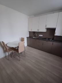 Здам 1к квартиру ЖК <a href='/newbuilding/6524/view/zk-sadi-visnevi'>Сади Вишневі</a>. Перша здача