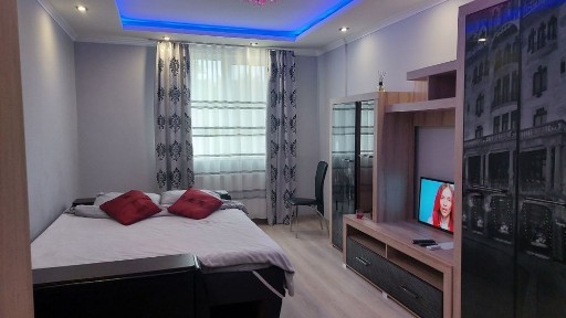 Вільно 1-кімнатна затишна квартира. Новорічні свята вільна