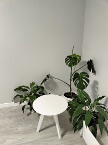 Здам в оренду ЖК Домбровський