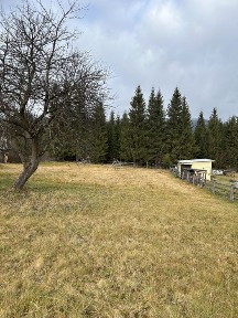 Продаж будинку який межує з лісом, хороший доїзд