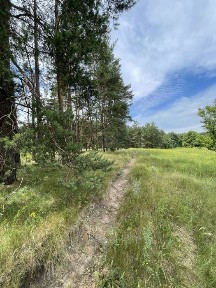 Продаж будинку с. Михайлівка, Черкаський район, Черкаська область