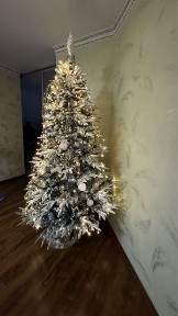 Оренда просторого будинку 2 км від Ужгорода