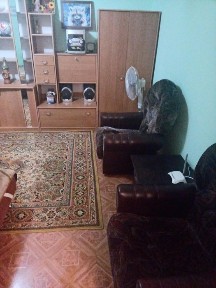 Сдаю 1-ю квартиру в центре, ул. Дворцовая, Крытый рынок, лифт работает