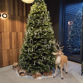 ЖК ПАРК RESIDENCE, Стрийська 144,-, 600 $.