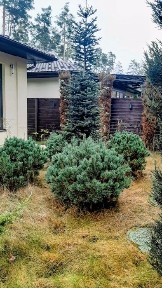 Будинок Лісова Буча з ремонтом на 7,5сот. вул. Гоголя