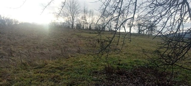 Продаж, Обмін на легкове авто, чи бус будинок у селі Гостів.