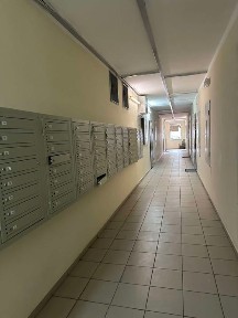 Здам 1 кімнатну квартиру на Н. Ужвій