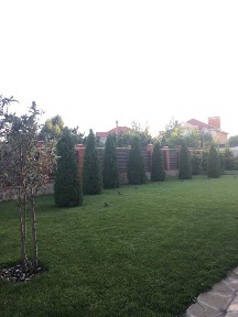 Хозяйский дом в Совиньоне-2